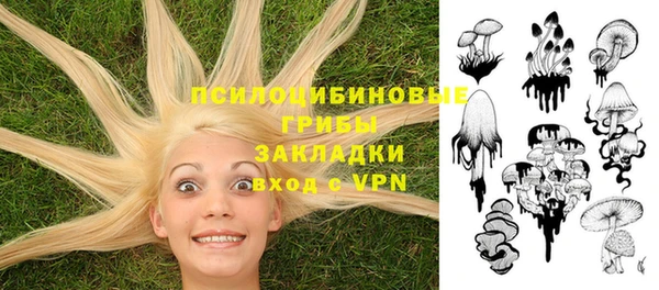 сатива Абдулино