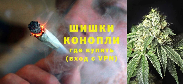 сатива Абдулино