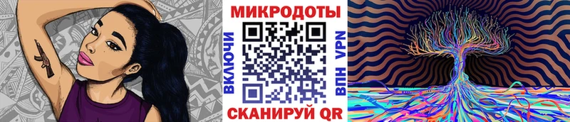 Псилоцибиновые грибы Psilocybe Емва
