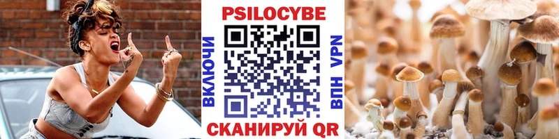 Псилоцибиновые грибы мицелий Емва